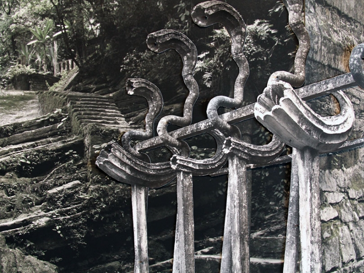 http://www.owa.mirunadragan.com/files/gimgs/th-6_IMG_2470_Xilitla_W.jpg