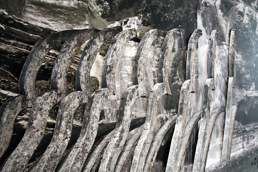 http://www.owa.mirunadragan.com/files/gimgs/th-6_IMG_2473_Xilitla_W.jpg