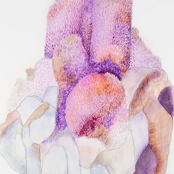 http://www.owa.mirunadragan.com/files/gimgs/th-23_Erratics-Draw3-detail-web_v2.jpg