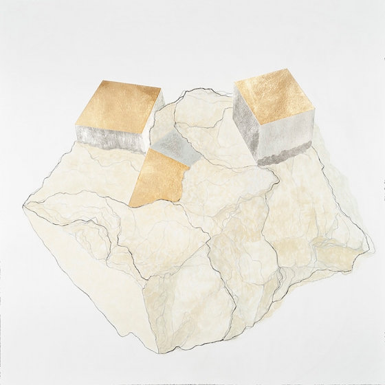 http://www.owa.mirunadragan.com/files/gimgs/th-23_Erratics-Draw1-web_v3.jpg