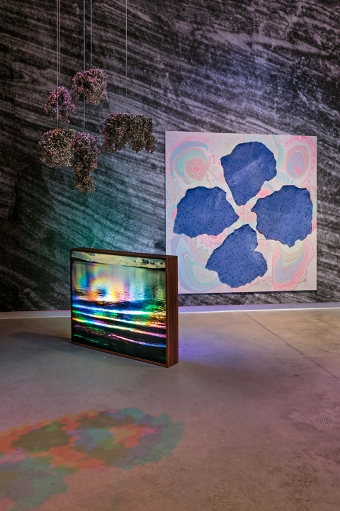 http://www.owa.mirunadragan.com/files/gimgs/th-54_Untitled2_W.jpg